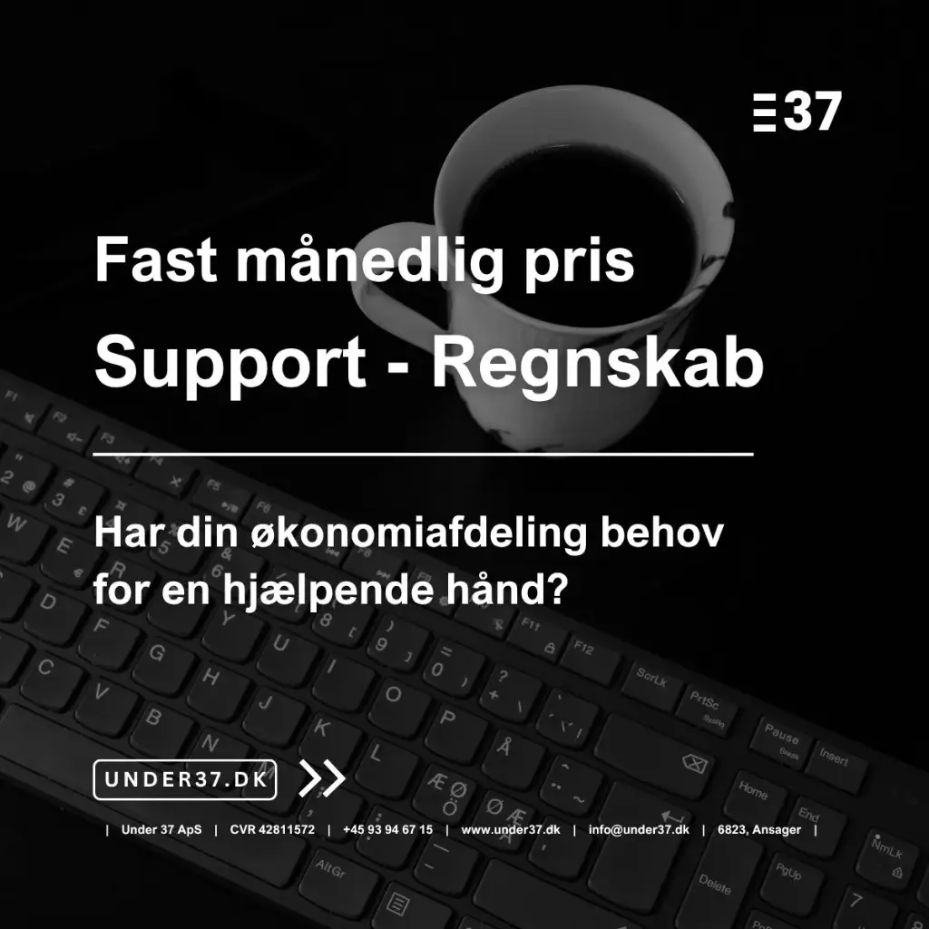 Support - Regnskab og bogføring