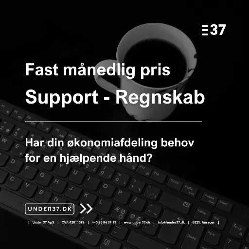 Support - Regnskab og bogføring