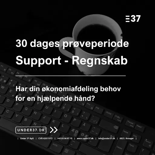 30 dages prøveperiode Support - Regnskab og bogføring