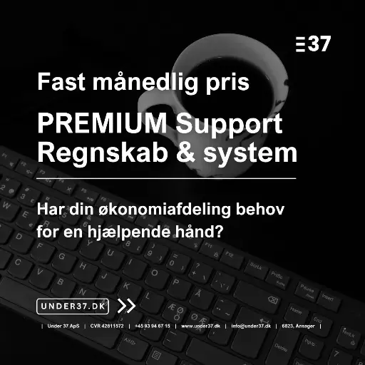PREMIUM Support - Regnskab, bogføring & system